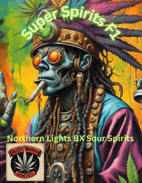 Super Spirits 6pk