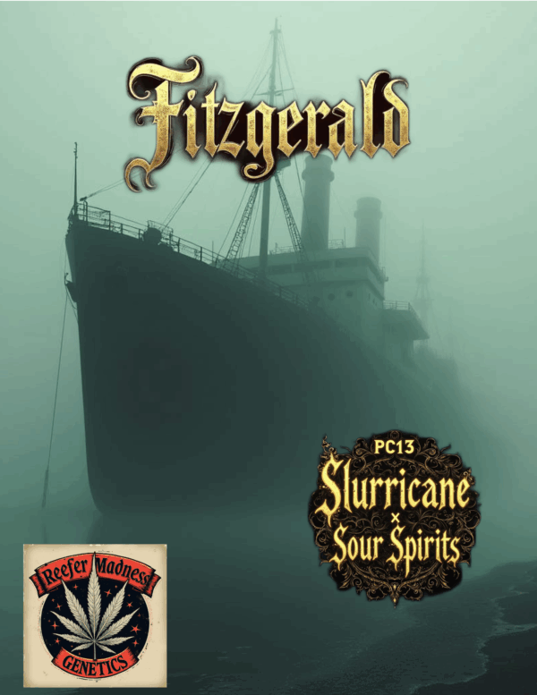 Fitzgerald 6pk